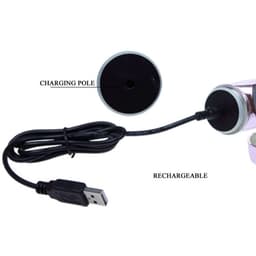 Baile Rabbit Throbbing Butterfly Vibrator mit USB-Ladekabel zur Veranschaulichung der Stromversorgung
