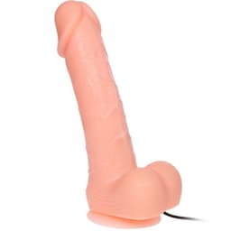 Baile Dong Vibrator, Gesamtansicht des realistischen Vibrationsdildos