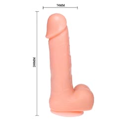 Baile Dong Vibrator, Ansicht von schräg oben auf den gesamten Schaft