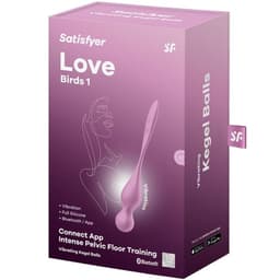 Satisfyer Kegelkugeln zusammen mit dem beiliegenden USB-Ladekabel
