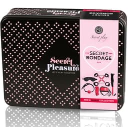 Secretplay BDSM-Set mit sechs Teilen aus Kunstleder in der Gesamtansicht