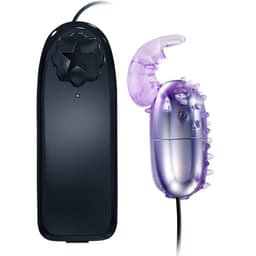 Baile Super Vibrator Vibro-Ei, Gesamtansicht
