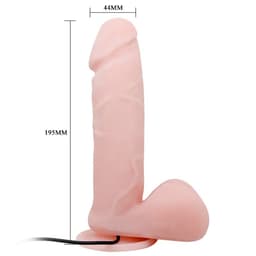 Originalverpackung des Baile Oliver Vibrator mit Produktabbildung und Herstellerangaben