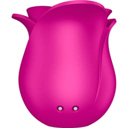 Satisfyer Air Pulse Pro 2 Modern Blossom, Ansicht der Bedienelemente