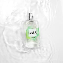 Secretplay Gaia Pheromon-Parfum, 50-ml-Flakon neben der Umverpackung