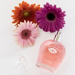 Grafik zu den Duftnoten Jasmin, Rose und Vanille des Eye of Love One Love Parfums