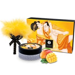 Shunga Massagepulver-Set Mango, Gesamtansicht der Verpackung