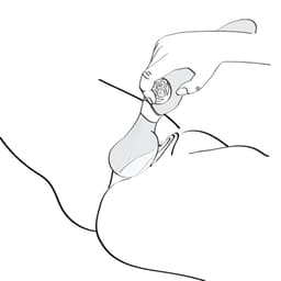 Shunga Zoa, Ansicht von oben mit Blick auf die gesamte Form und Struktur