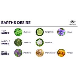 Eye of Love Bloom Earths Desire Raumspray im Größenvergleich zur Hand