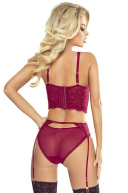 Provocative Passion Glamour – rotes Dessous-Set aus Spitze und Netz, Rückansicht mit Verschluss im Detail