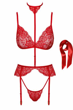 Kissable Dessous-Set in Rot, Detailaufnahme des einhängbaren Chokers am Strumpfhaltergürtel