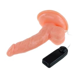 Super Rota im Größenvergleich mit der Hand, 15 cm Länge zur besseren Einschätzung von Form und Größe