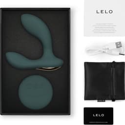 Lelo Hugo 2 Remote zusammen mit der zugehörigen kabellosen Fernbedienung