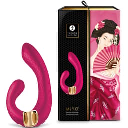 Shunga Miyo, Nahaufnahme der Bedienelemente und Ladeanzeige, Detailaufnahme für die Produktseite