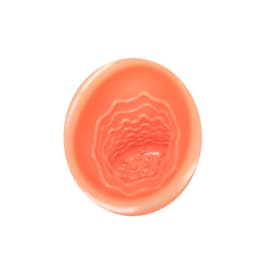 Verpackung des Baile Oral Sex Lover 30V Mund-Masturbators von vorne