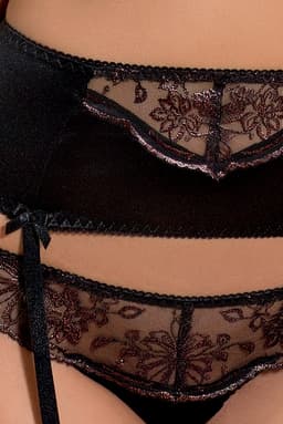 Passion Brida Dessous-Set im Detail, Spitze und Formbügeln