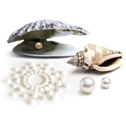 Bijoux Indiscrets Mimi Pearl Abdeckung einzeln, goldfarbene Oberfläche im Detail