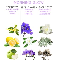 Eye of Love Morning Glow Parfum 50 ml neben der eleganten Deluxe-Verpackung