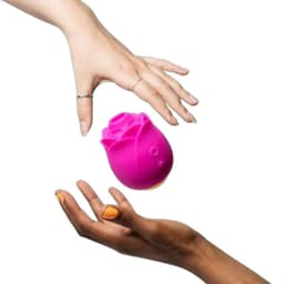 Zwei-Tasten-Bedienung am Gehäuse des ROMP Rose 2.0 aus der Nahaufnahme