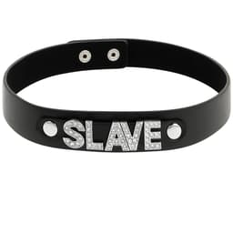Coquette Chic Desire Sklaven-Choker mit verstellbarer Halterung in Nahaufnahme