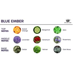 Eye of Love Bloom Blue Ember Raumspray im Größenvergleich zur Hand