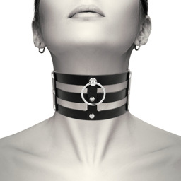Fetisch-Halsband von der Seite mit Verschluss im Detail in Produktfotoqualität