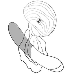 ROMP Spin – Rabbit-Vibrator mit 360°-Rotation und Klitorisstimulator – Ansicht 15