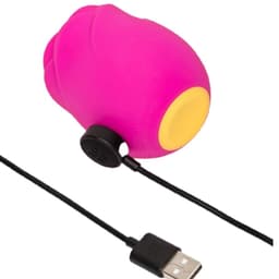 ROMP Rose rosenförmiger Klitoris-Druckwellenvibrator, in der Handfläche gehalten im Größenvergleich
