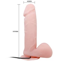 Baile Oliver Vibrator mit Saugnapf, Nahaufnahme des Bedienelements an der Basis zur Steuerung der Intensität