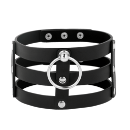 Verpackung des Coquette Chic Desire Fetisch-Halsbands in Produktfotoqualität