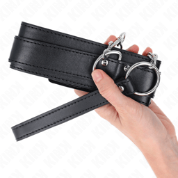 Kink Halsband mit silbernen Schnallen und Leine von der Seite, Metallbeschläge in Nahaufnahme