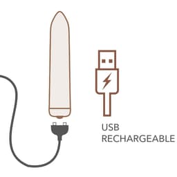 Rocks-Off Bullet mit magnetischem USB-Ladekabel aus nächster Nähe fotografiert