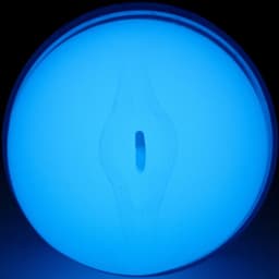 Kiiroo FeelGlow Stroker mit TPE-Hülle, in der Hand gehalten im Größenvergleich
