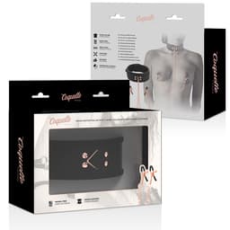 Verpackung des Coquette Chic Desire Fantasy Halsbands mit Nippelklemmen