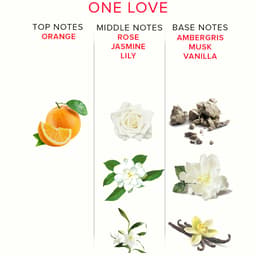 Verpackung des Eye of Love One Love Pheromon-Parfums mit Inhaltsangabe 50 ml