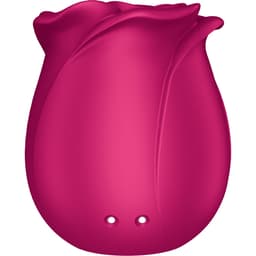 Satisfyer Air Pulse Pro 2 Classic Blossom, Ansicht der Bedienelemente