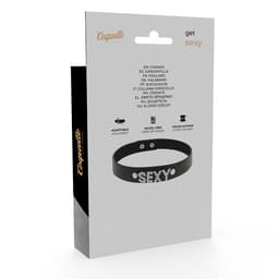 Sexy Choker als Fetisch-Accessoire zu einem Dessous-Look kombiniert