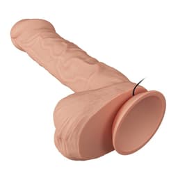 Originalverpackung des Baile Schöne Begegnung Berqrisi Vibrator mit Produktabbildung und Herstellerangaben