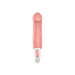 Satisfyer Vibe Master mit USB-Ladekabel