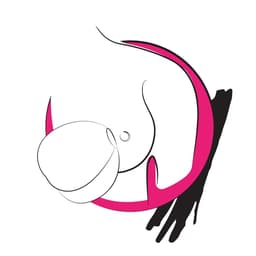 ROMP Pink Silikon-Vibrator in Pink, mit USB-Ladekabel und Ladekontakten
