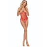 Passion BS114 – Ouvert-Bodystocking mit Gitternetz-Muster