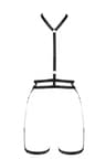 Passion Denira – 2-in-1-Set aus Halsband und Strumpfgürtel