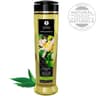 Shunga Bio Massageöl Grüner Tee – 100 % kaltgepresste Öle