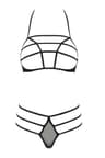 Passion Devil Collection – Dessous-Set aus Netzstoff