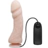 Baile – Realistischer Vibrator mit Saugnapf und Fernbedienung, 23,5 cm