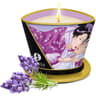 Shunga Massagekerze Lavendel – 170 ml