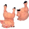 Diablo Picante Spardose nacktes Schwein naturfarben – Sparschwein mit Humor