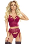 Provocative Passion Glamour – rotes Dessous-Set aus Spitze und Netz