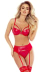 Provocative Hard & Chic – rotes Dessous-Set aus Wetlook und Netz