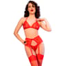Chilirose Spitzen-Set in – BH, Strapsgürtel, Tanga, Strümpfe